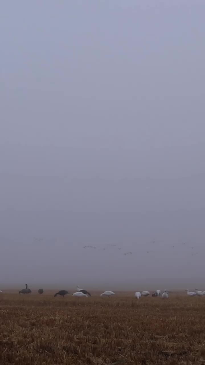 Video post from northernskiesoutfitters.