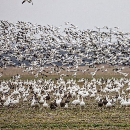 Photo post from northernskiesoutfitters.