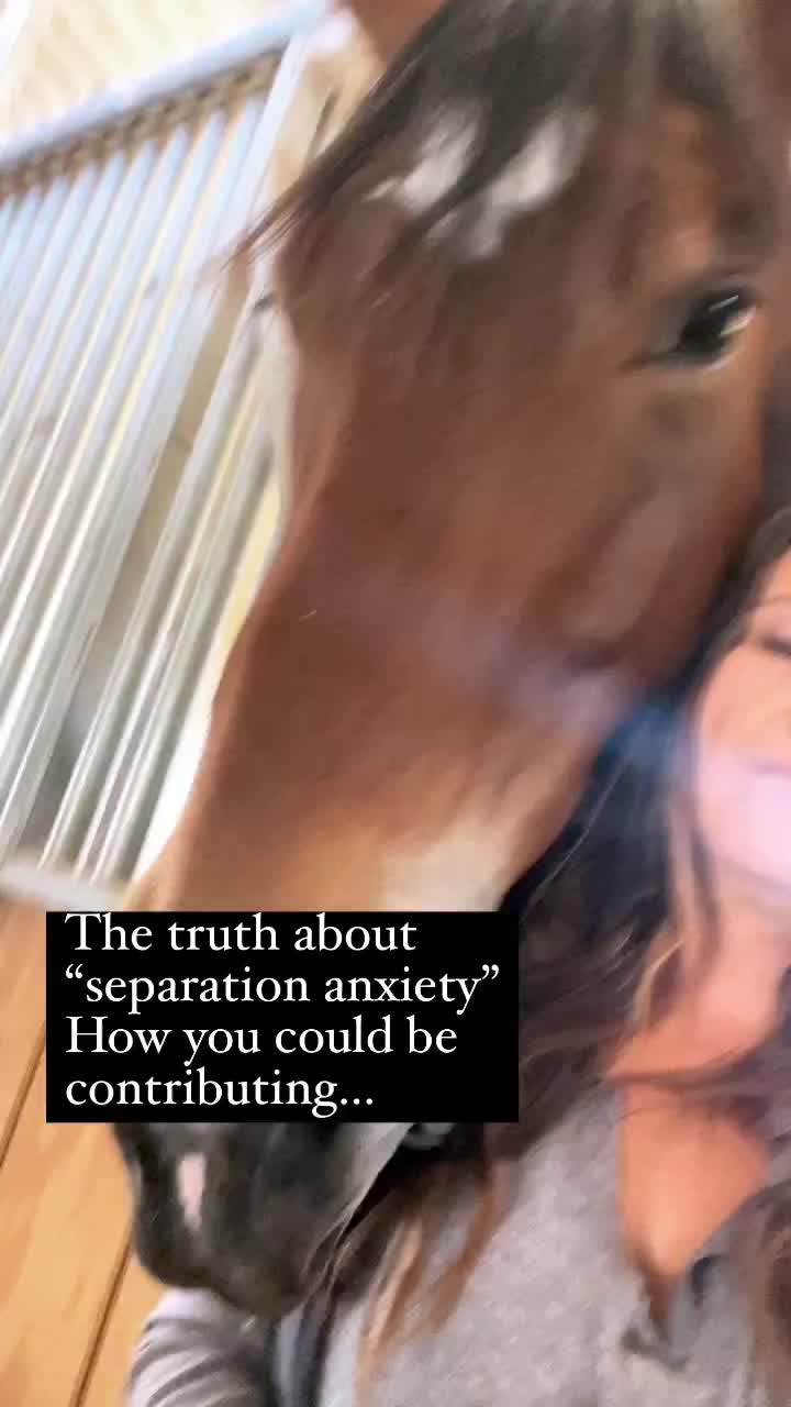 Video post from __amber_lydic__.