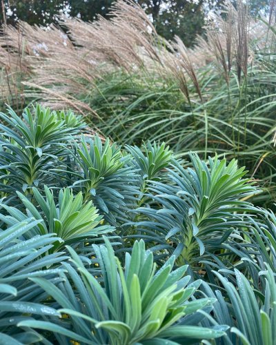 Photo post from sussexprairies.