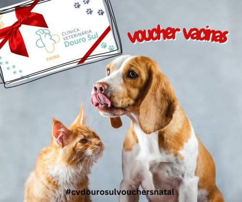 Photo post from clinica_veterinaria_dourosul.