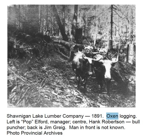 Photo post from shawniganlakemuseum.