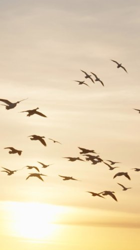 Video post from northernskiesoutfitters.