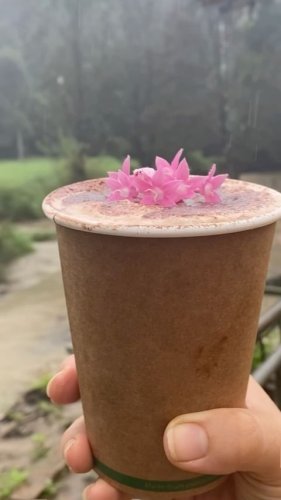 Video post from currumbinvalleyharvest.