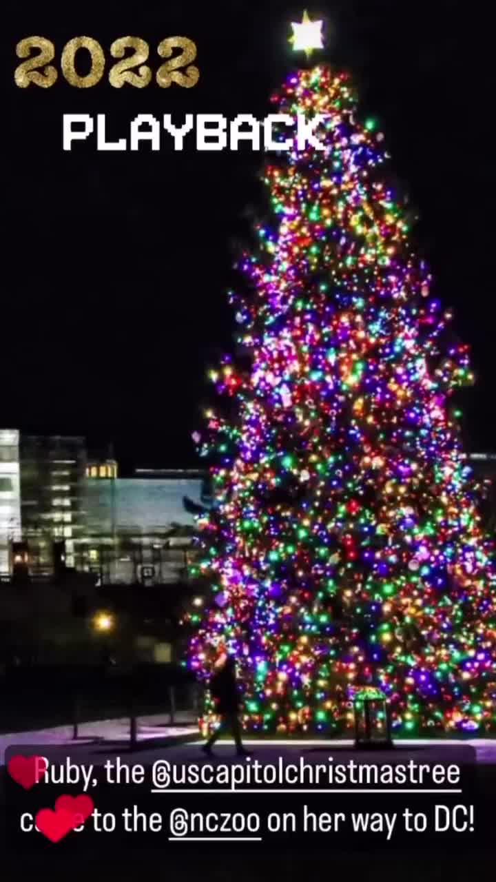 Video post from theheartofnc.