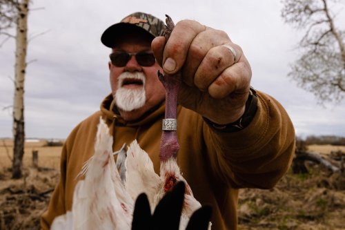 Photo post from northernskiesoutfitters.