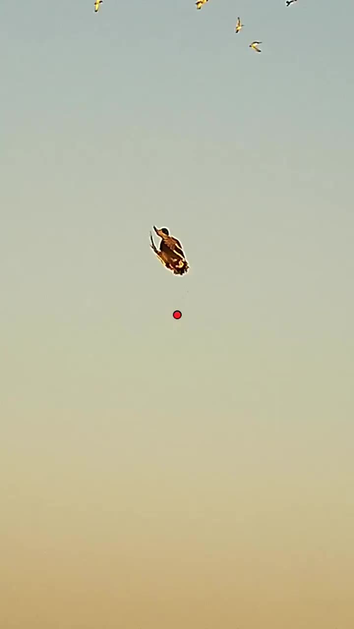 Video post from northernskiesoutfitters.