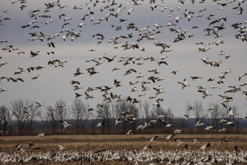 Photo post from northernskiesoutfitters.