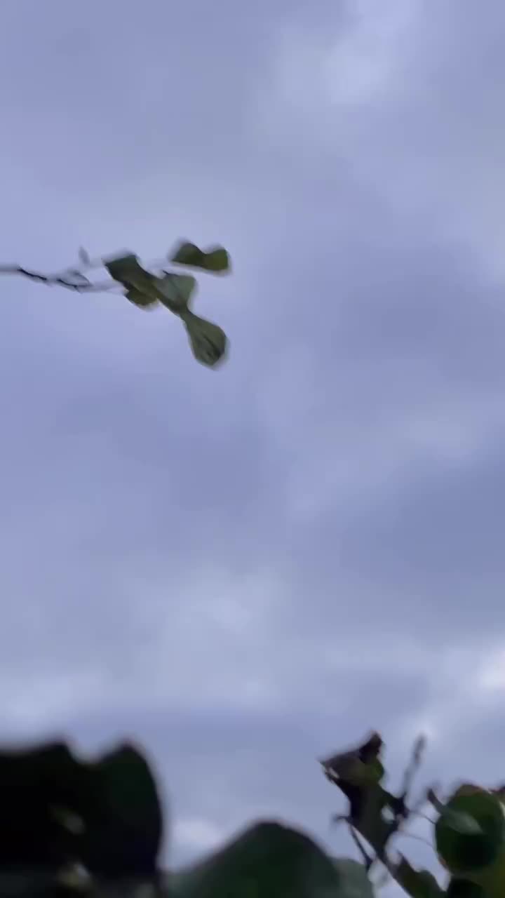 Video post from northernskiesoutfitters.