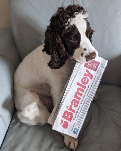 Carousel post from bramleynewspaper.