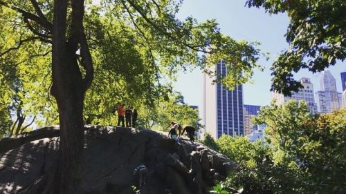 Video post from nydreamer7.