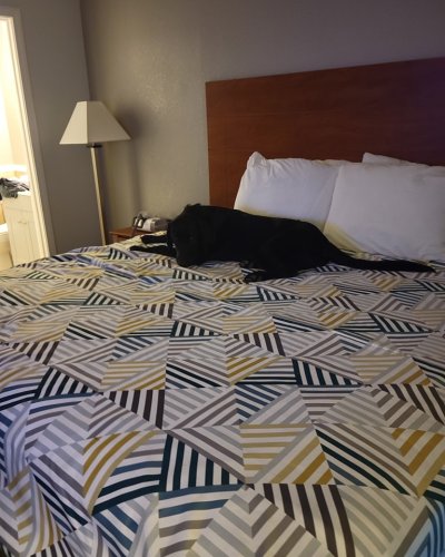 Photo post from reddogguideservice.