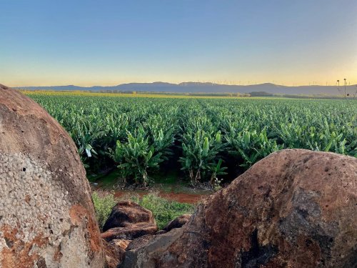 Photo post from howefarming.