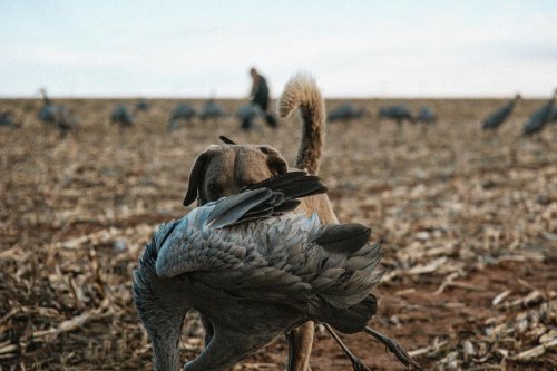 Photo post from northernskiesoutfitters.