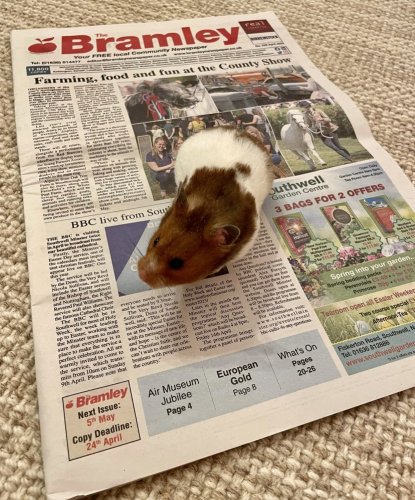 Photo post from bramleynewspaper.