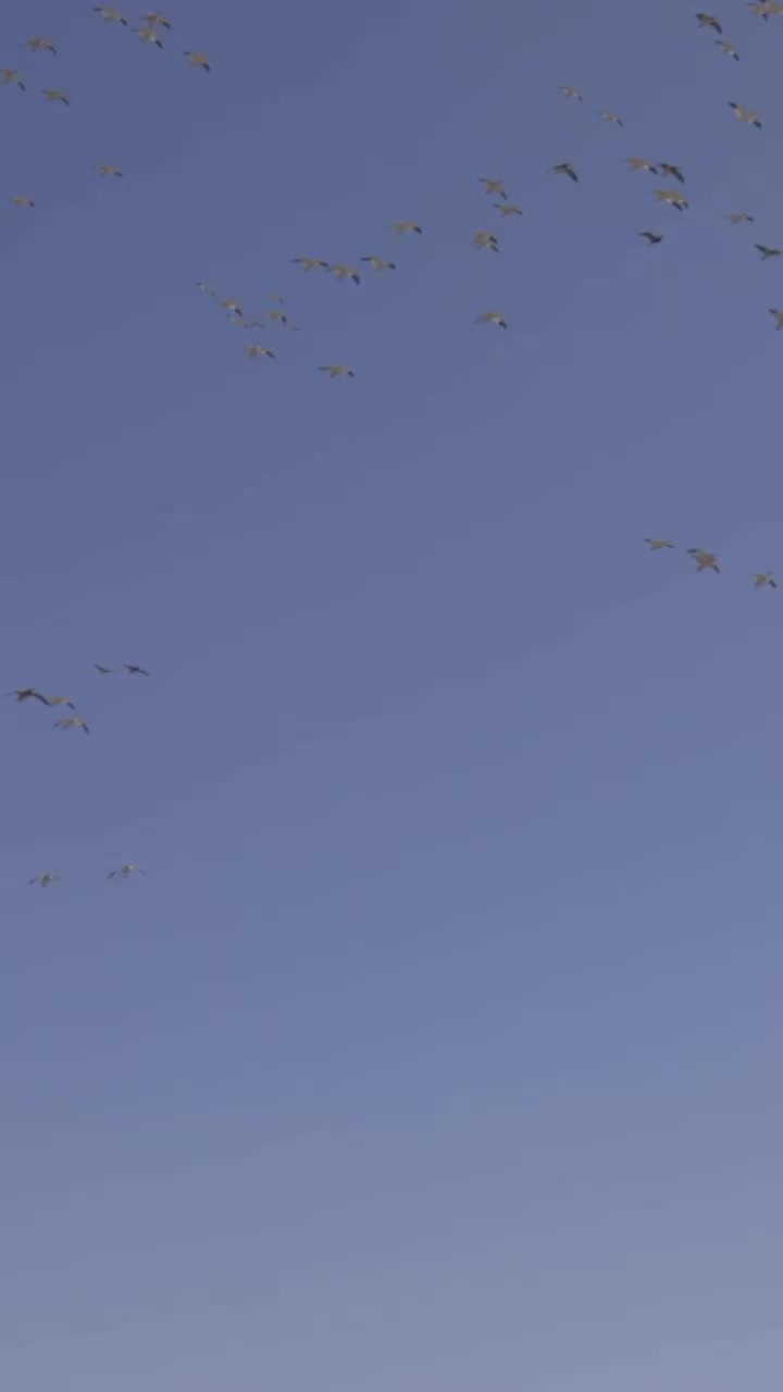 Video post from northernskiesoutfitters.