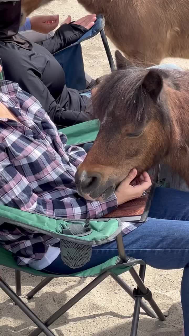 Video post from __amber_lydic__.