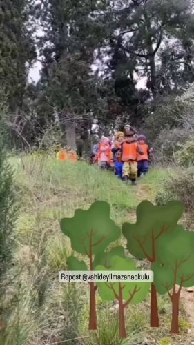 Video post from tobycomtr.