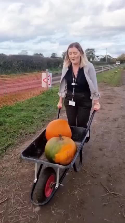 Video post from themoathouse.