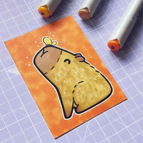 Photo post from perdita00.