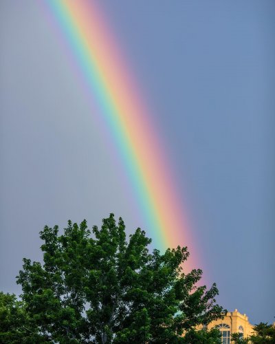 Carousel post from denfringe.