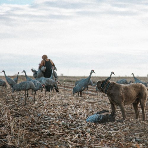 Photo post from northernskiesoutfitters.