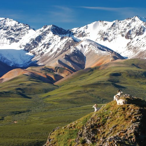 Photo post from taucktravel.