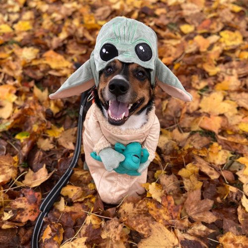 Photo post from lennoxflatscolumbus.