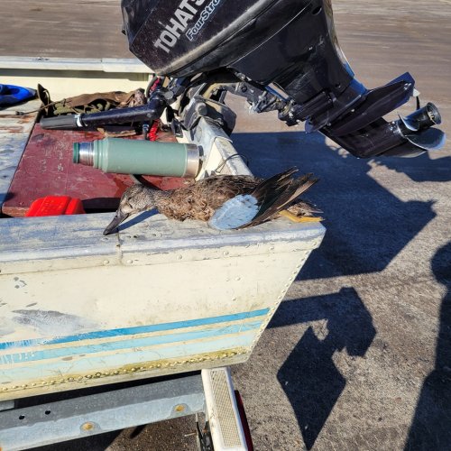 Photo post from reddogguideservice.