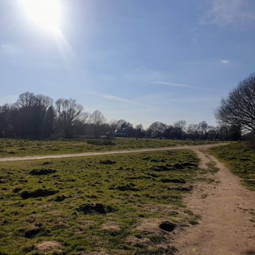 Photo post from kasarstays.