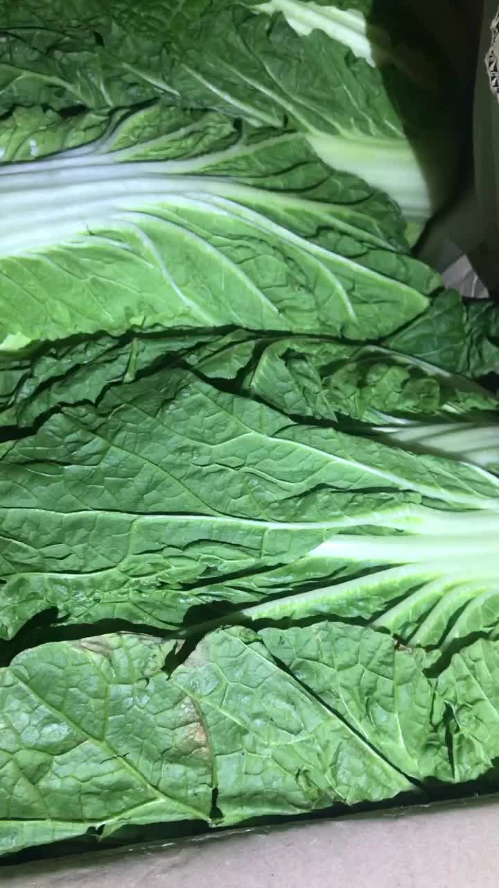 Video post from nydreamer7.