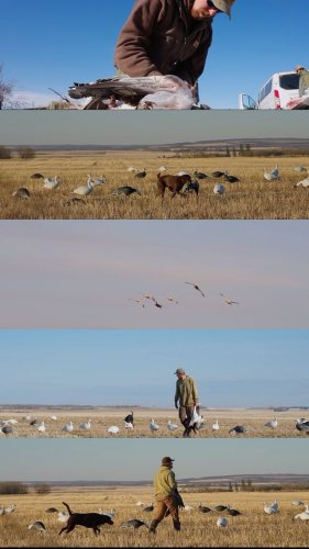 Video post from northernskiesoutfitters.