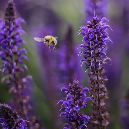Carousel post from glasshouseretreat.