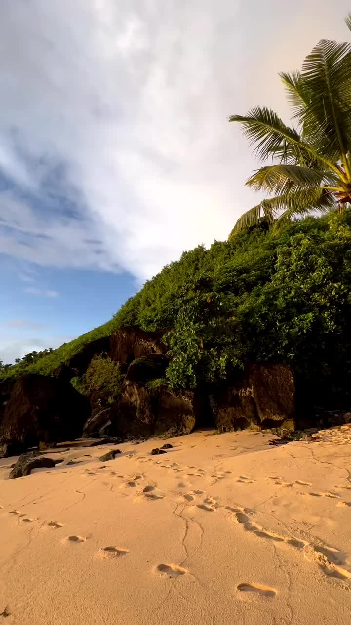 Video post from octopusresort.