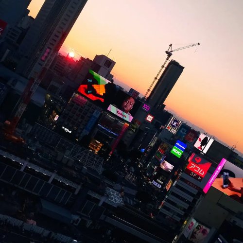 Photo post from ne_shibuya.