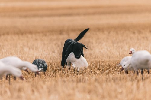 Photo post from northernskiesoutfitters.