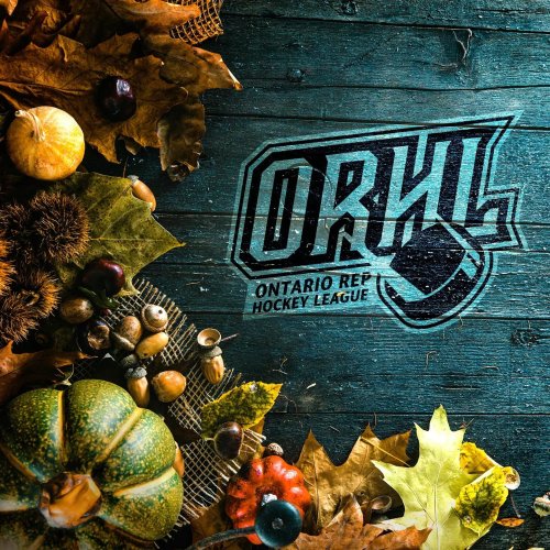 Photo post from orhlhockey.