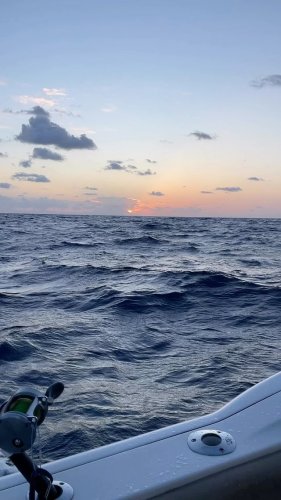 Video post from ejs_fishing_charters.