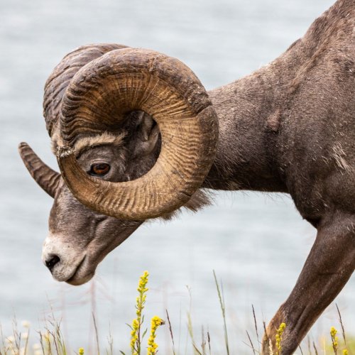 Photo post from nwfoutdoors.