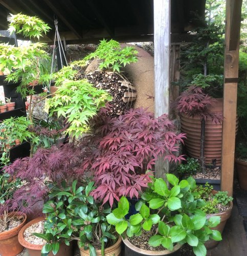 Photo post from gardenhousebrighton.