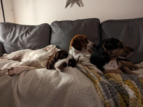 Photo post from scott.parry.associates.