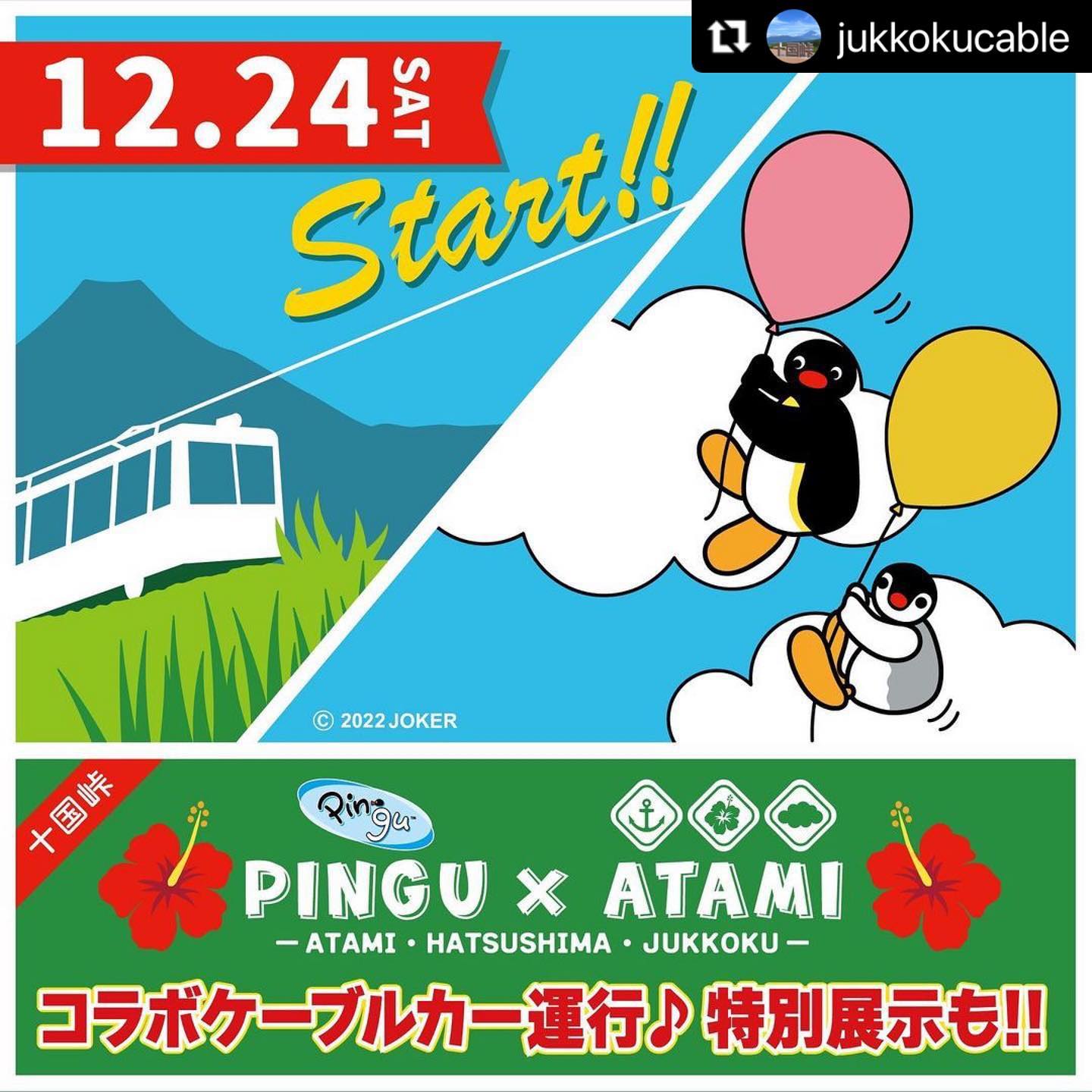 Photo post from pingu_jp.