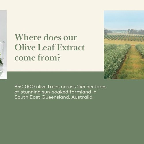 Video post from comvita_au.