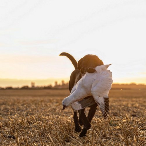 Photo post from northernskiesoutfitters.