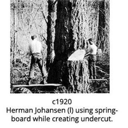 Photo post from shawniganlakemuseum.