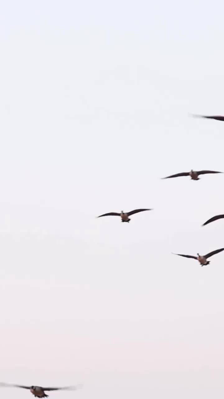 Video post from northernskiesoutfitters.