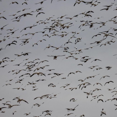 Photo post from northernskiesoutfitters.