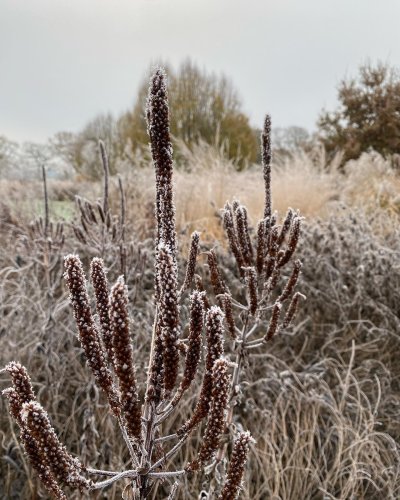 Photo post from sussexprairies.