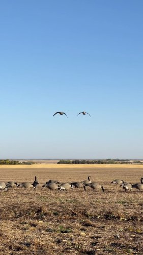 Video post from northernskiesoutfitters.