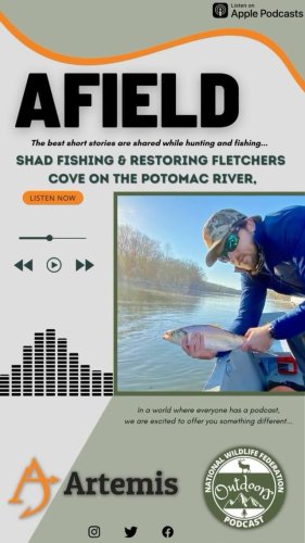 Video post from nwfoutdoors.